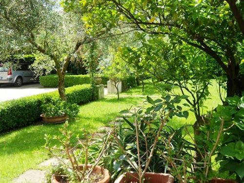 Villa Scimmia Scauri  Exteriér fotografie